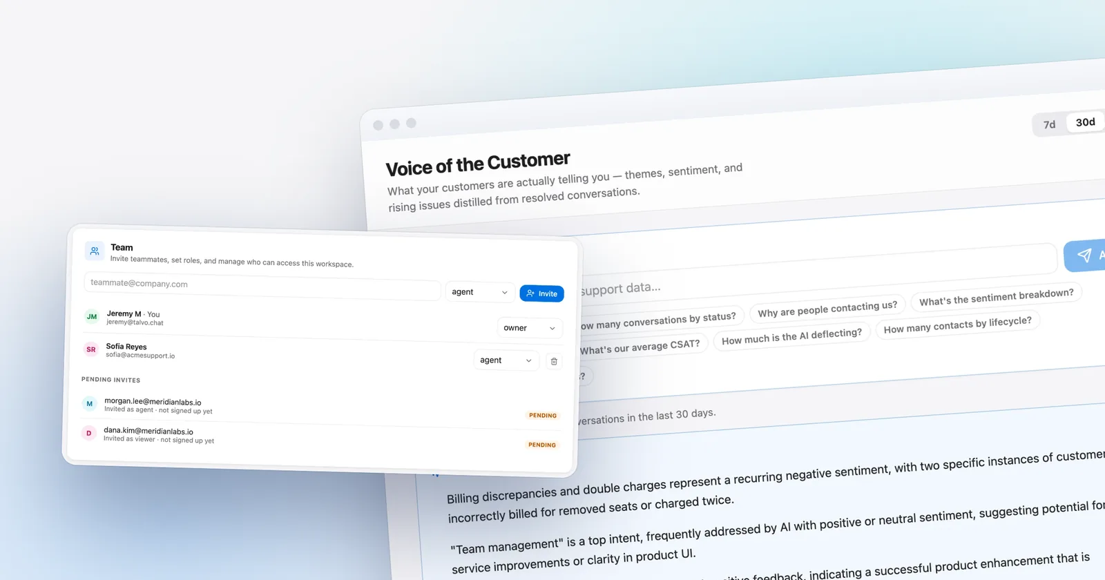 Talvo's team invite settings, in front of the Voice of the Customer readout. Shown with our demo workspace.